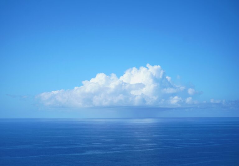 image that ilustrates Standing Out in a Competitive Market: Techniques for Improving Google Rankings